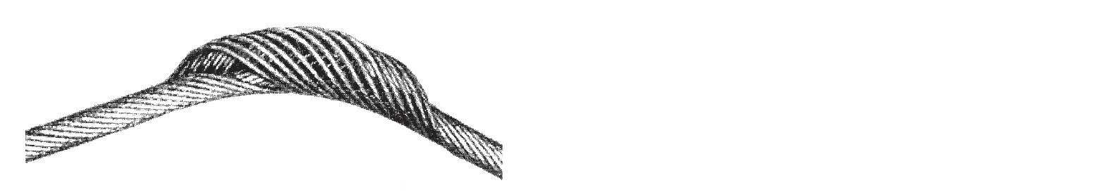 Ilustracja do pytania 1667